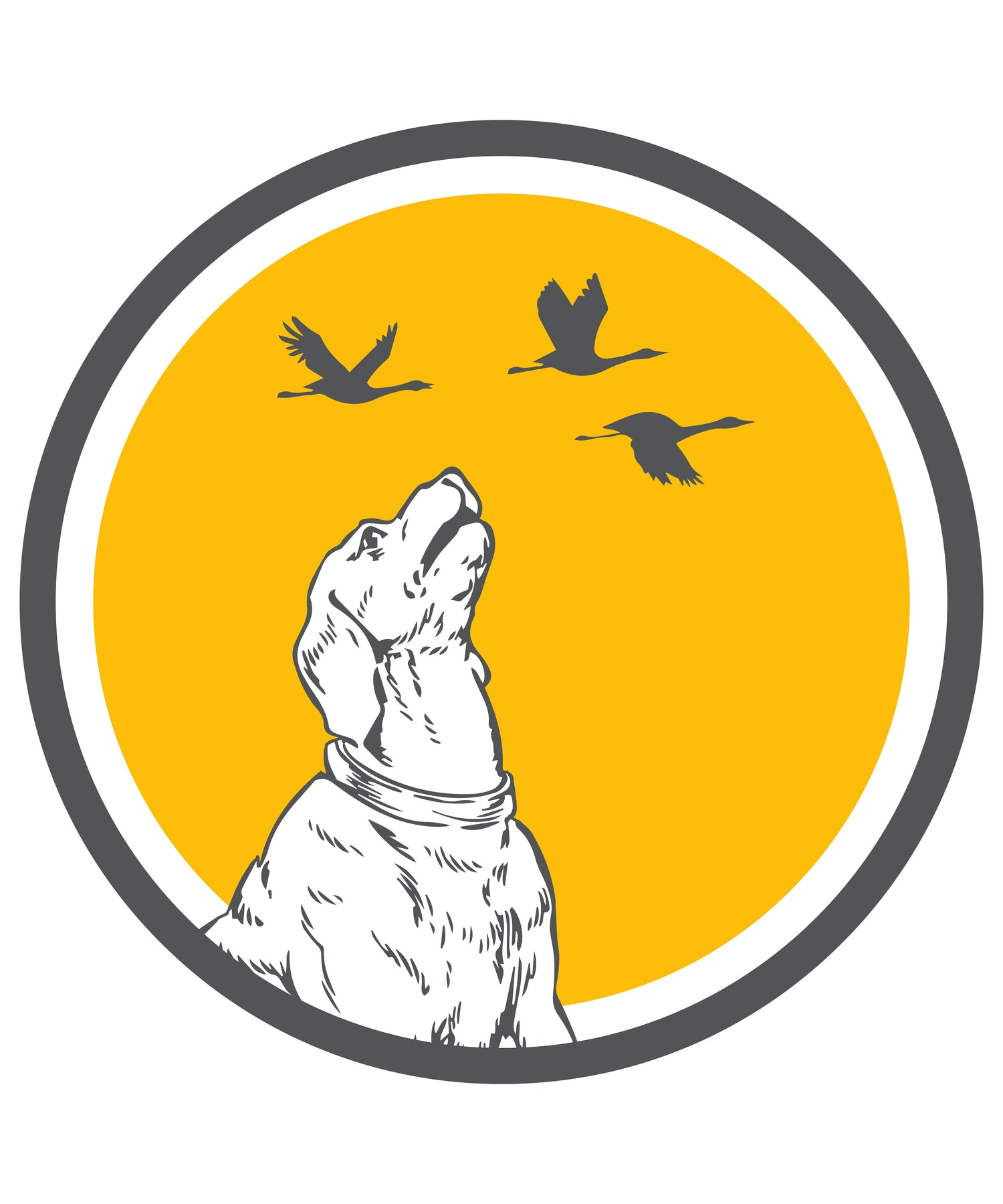 Paws & Play – Where Humour Meets Hound and Retro Vibes