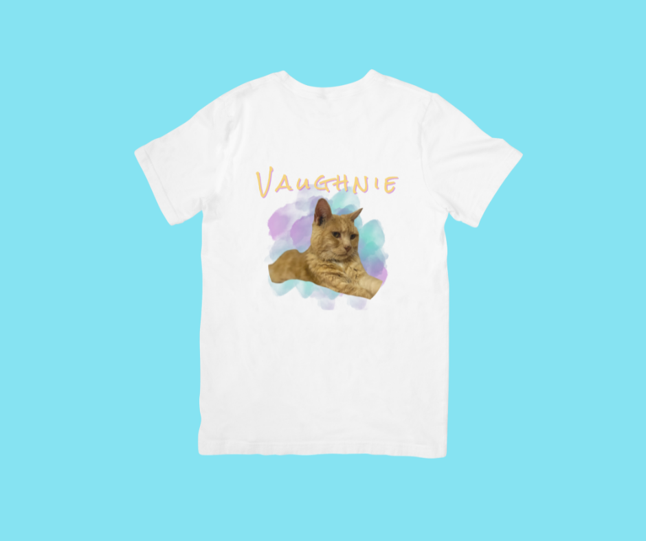 Pet Design